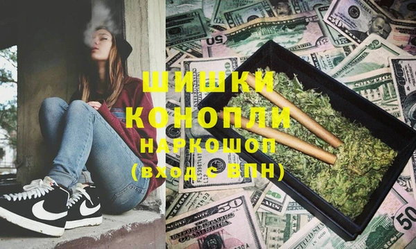 PSILOCYBIN Алзамай