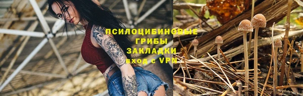 PSILOCYBIN Алзамай
