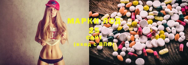 PSILOCYBIN Алзамай