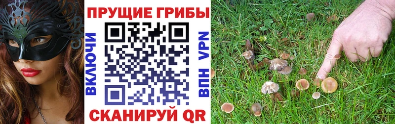 Галлюциногенные грибы MAGIC MUSHROOMS Павловская