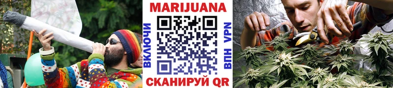 МАРИХУАНА сатива  Павловская 